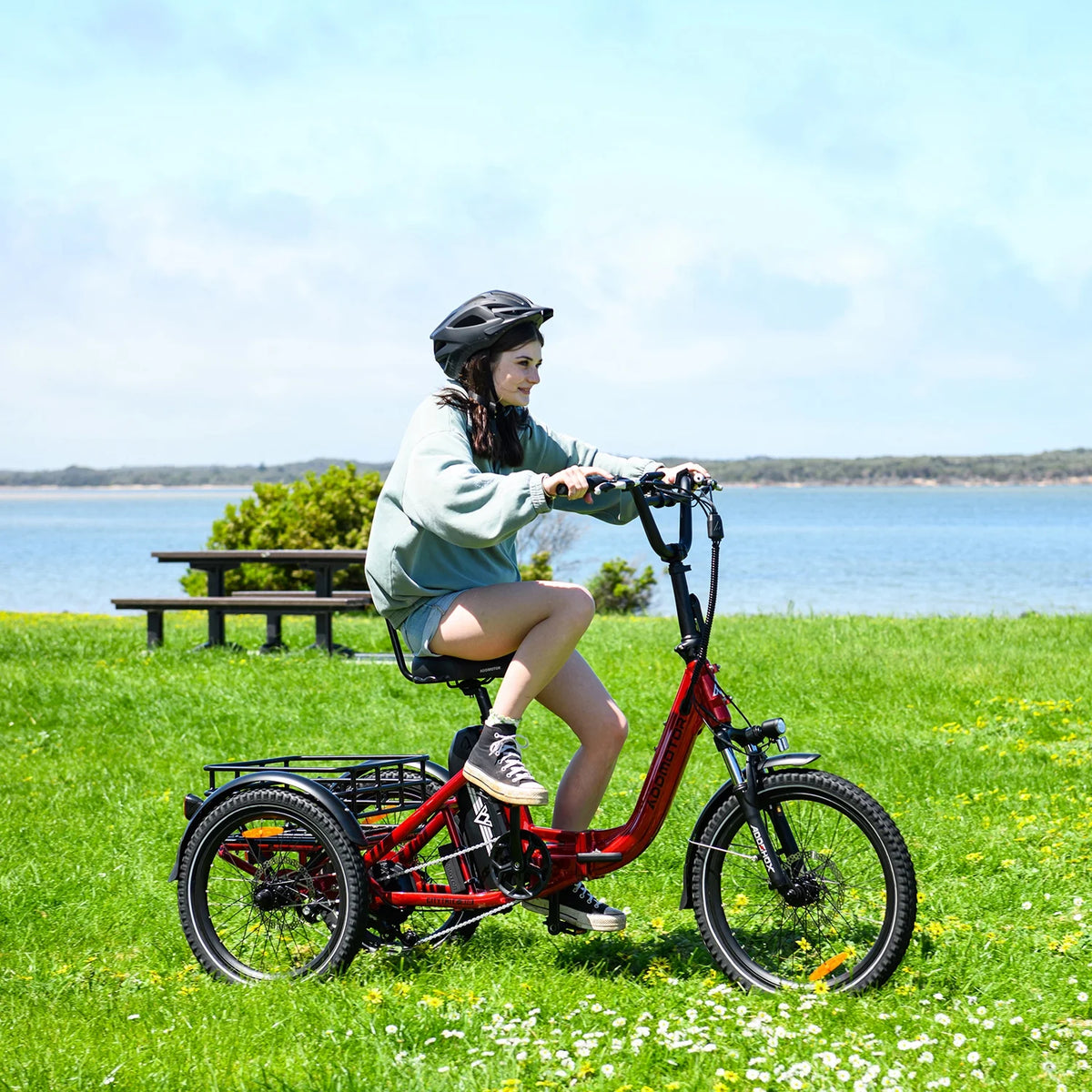 Addmotor Folding Electric Trike, 90MI Electric Tricycle for Adults, 750W 48V 20ah - Product image 2